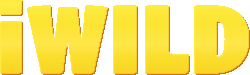 Iwild Casino